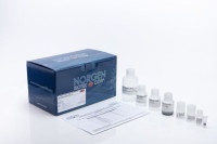 58300 Plasma/Serum Exosome Purification and RNA Isolation Mini Kit ( 50 preps )